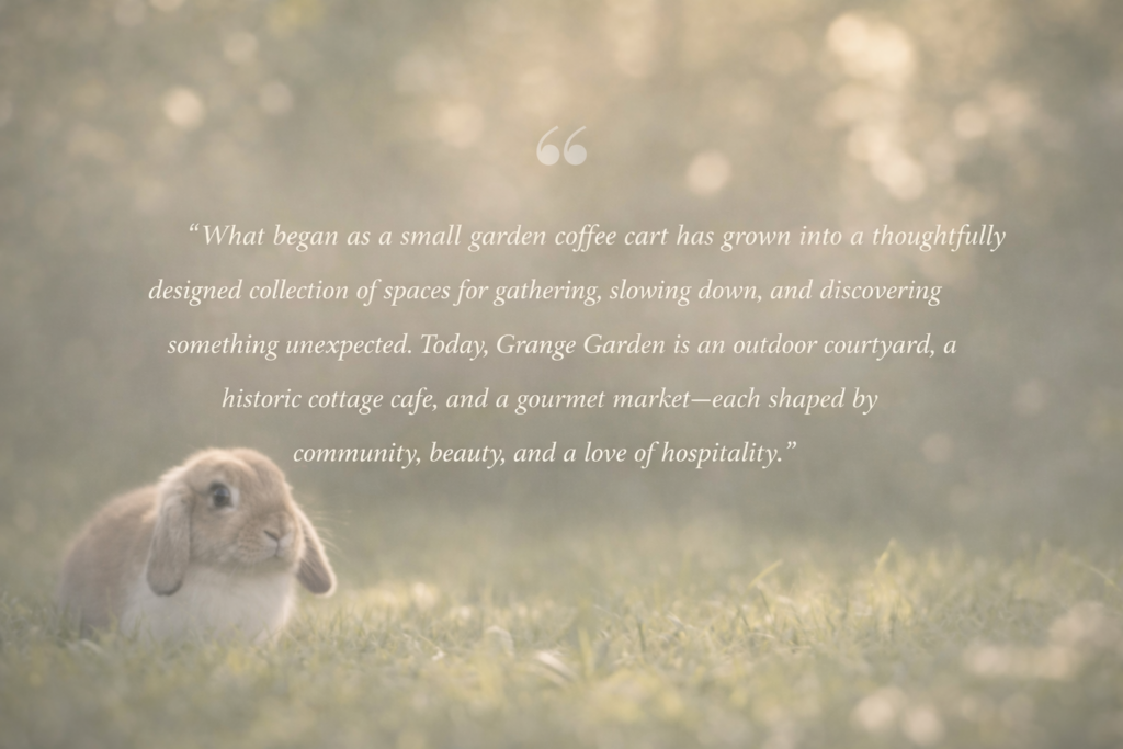 Grange Garden Holland Lop bunny sitting in a grassy meadow
