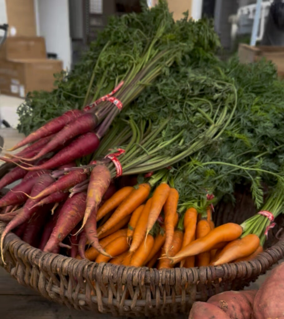 Farm fresh organic rainbow carrots at Grange Garden Market