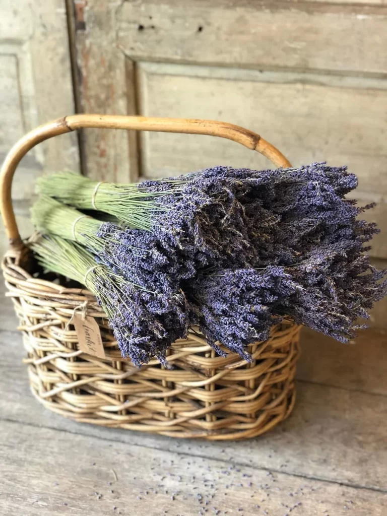 Basket of farm fresh French lavender bundles at Grange Garden Market