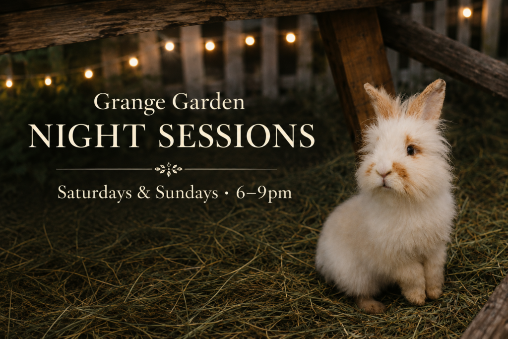 Weekend night sessions at Grange Garden