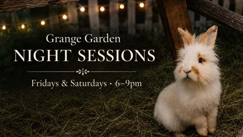 Weekend night sessions at Grange Garden
