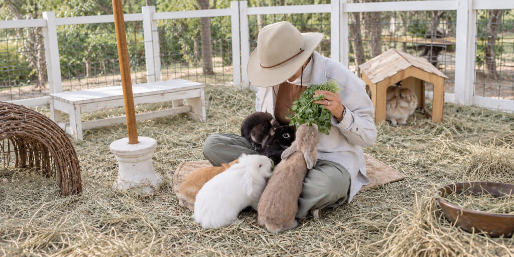 A quiet moment in our bunny garden as fresh greens are shared with the resident rabbits. Their comfort, care, and wellbeing guide every part of the experience at Grange Garden. A woman in a wide-brim hat sits on hay inside a rabbit enclosure, holding fresh greens as several rabbits gather around her.