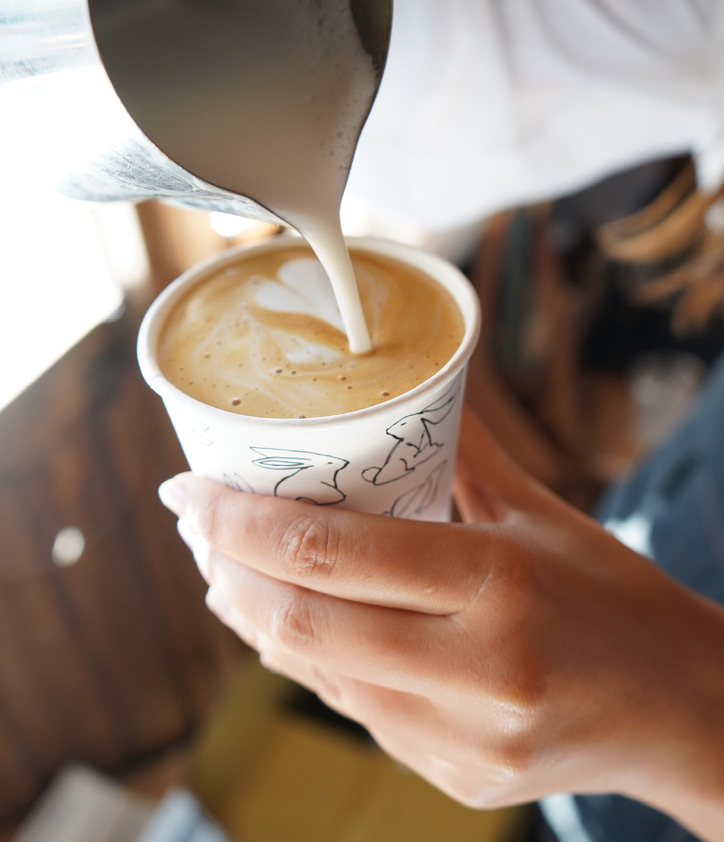 Steamed milk being poured into a latte in a bunny-patterned takeaway cup.